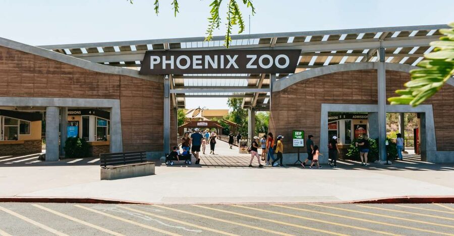 Phoenix Zoo One Day General Admission Ticket - Timing, heat, and the practical side of a visit