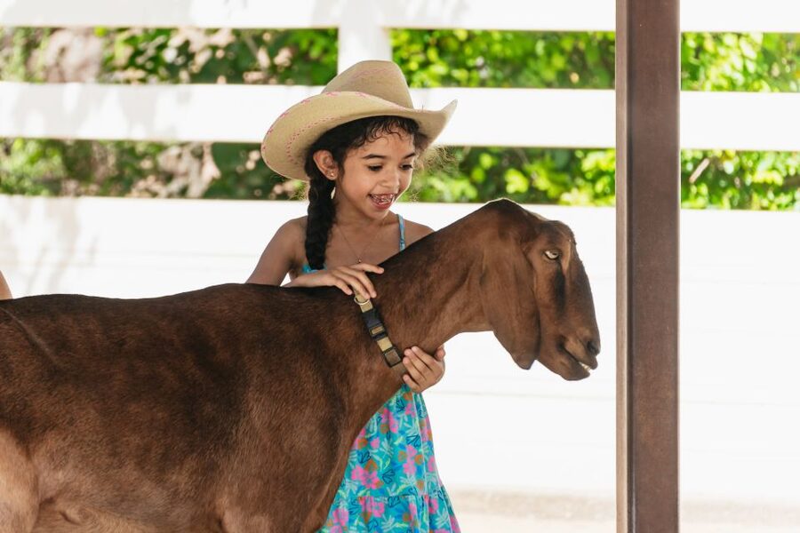 Phoenix Zoo One Day General Admission Ticket - Who should book Phoenix Zoo admission?