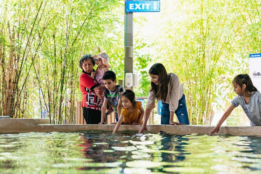 Phoenix Zoo One Day General Admission Ticket - Begin with the trail that matches your interests