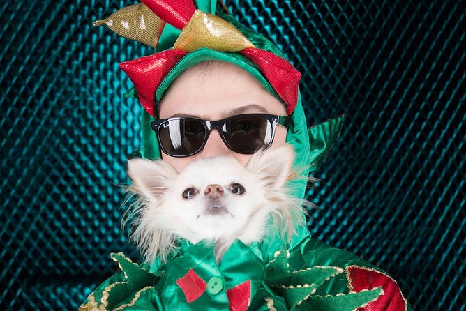Piff the Magic Dragon at the Flamingo Las Vegas - Who will enjoy this Flamingo show most?