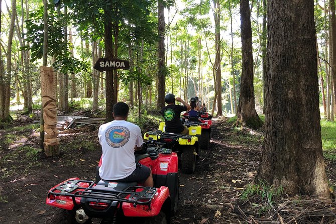 Polynesian Cultural ATV Tour in Kona - Is $187.08 a fair price?