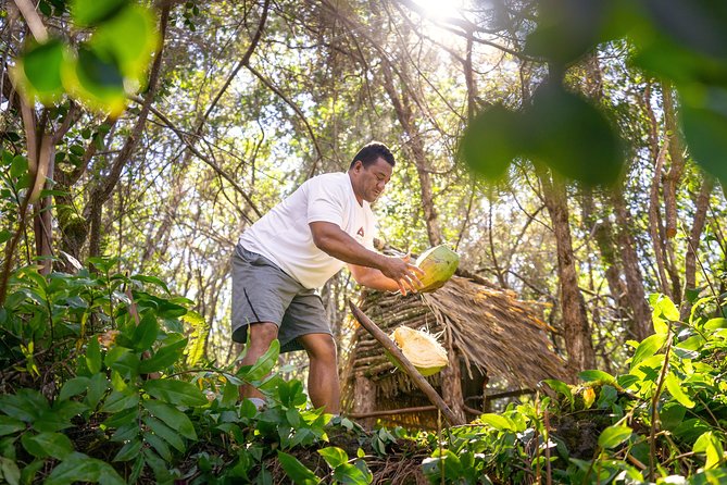 Polynesian Cultural ATV Tour in Kona - Choosing between an ATV and the guide’s UTV