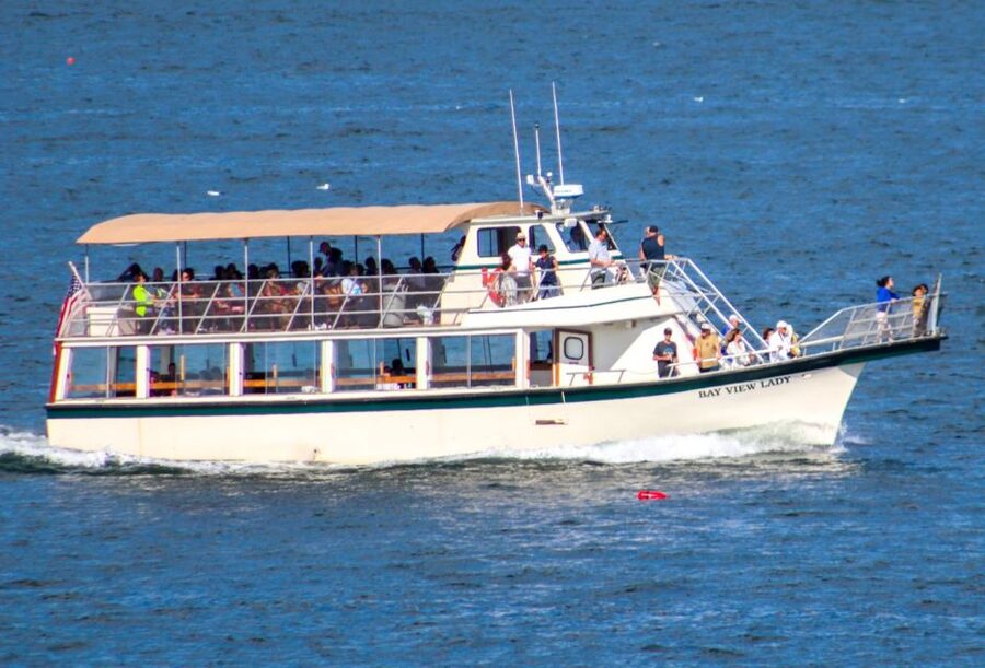 Portland: Best of Maine Lighthouse Scenic Cruise - Bug Light and Spring Point Ledge Lighthouse