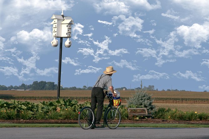 Premium Amish Country Tour including Amish Farm and House - Why this tour works well in Lancaster