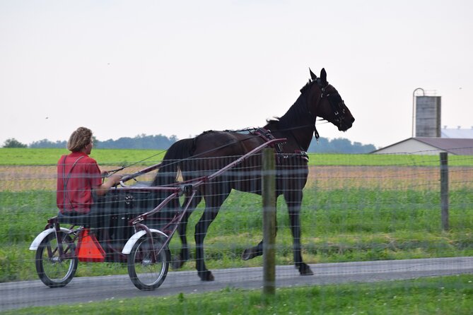 Premium Amish Country Tour including Amish Farm and House - Best for families, first-time visitors, and curious adults