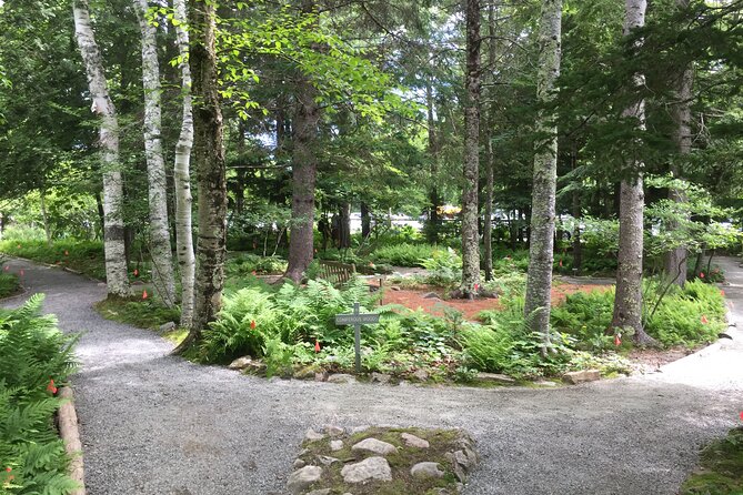 Premium Narrated Bus Tour of Bar Harbor and Acadia National Park (3.5 Hours) - Jordan Pond depends on available parking
