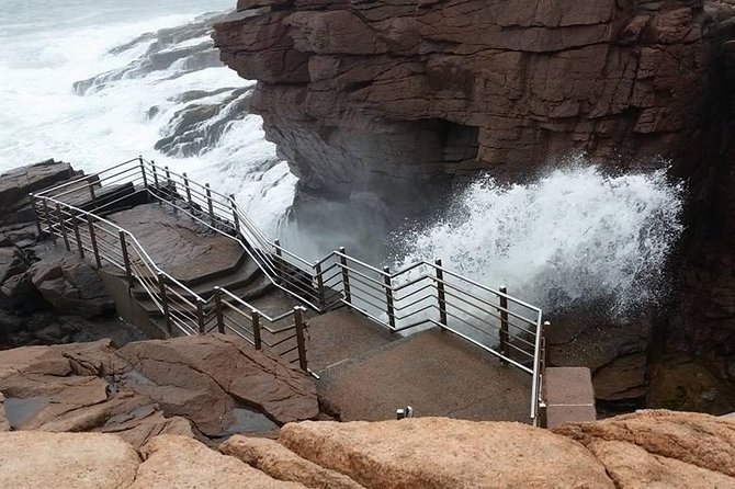 Premium Narrated Bus Tour of Bar Harbor and Acadia National Park (3.5 Hours) - How much value do you get for $99.36?