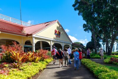 Premium Oahu Circle Island Tour – Small Group, No Crowds