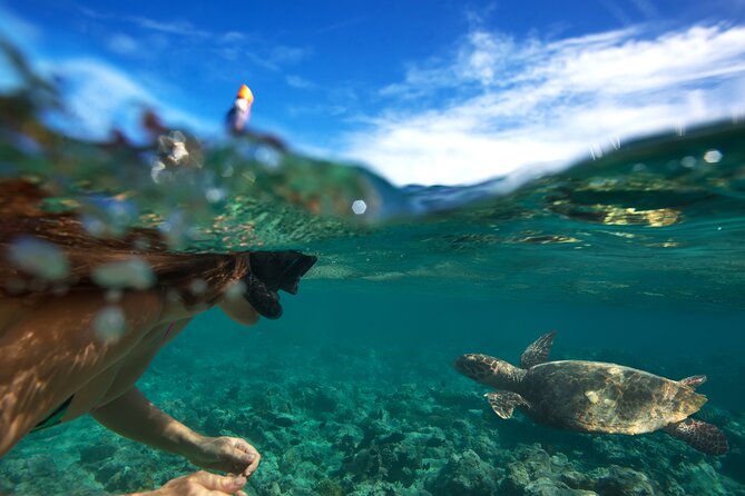 Premium Oahu Circle Island Tour – Small Group, No Crowds - Makapu‘u Point and the road north