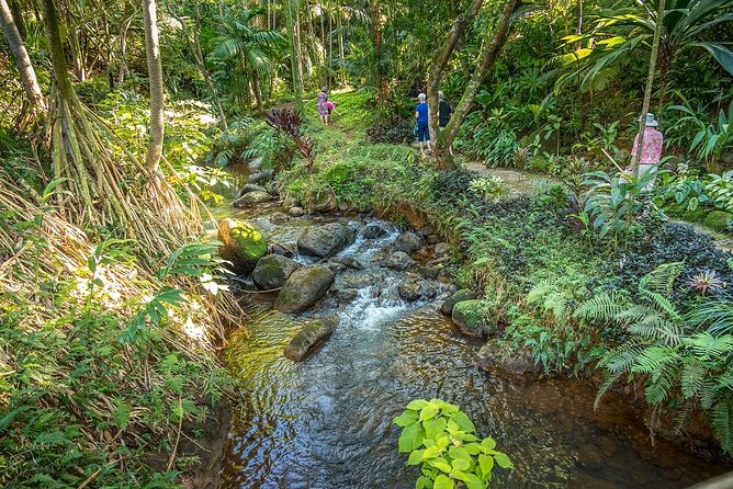 Princeville Botanical Gardens Tour and Chocolate Tasting Ticket - Starting among terraces, flowers, and useful plants