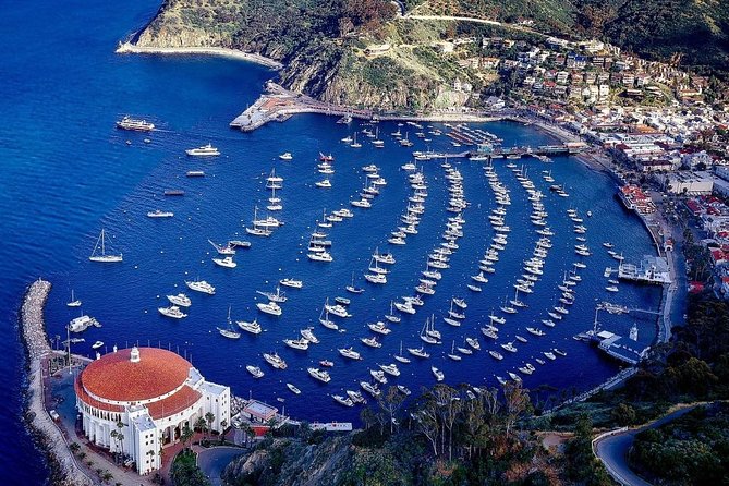 Private Guided Golf Cart Tour of Avalon - Why a golf cart is a smart way to see Avalon