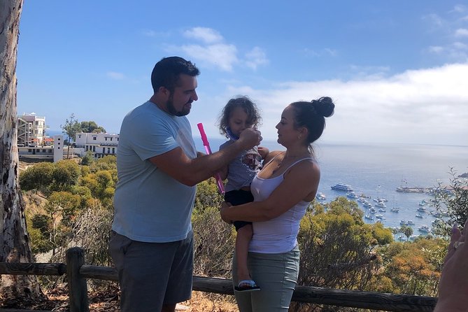 Private Guided Golf Cart Tour of Avalon - Hillside lookouts above Bell Tower Road