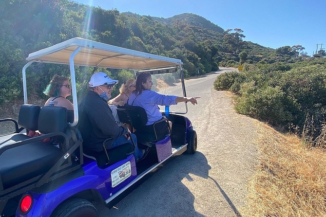 Private Guided Golf Cart Tour of Avalon - The pet cemetery and smaller local details