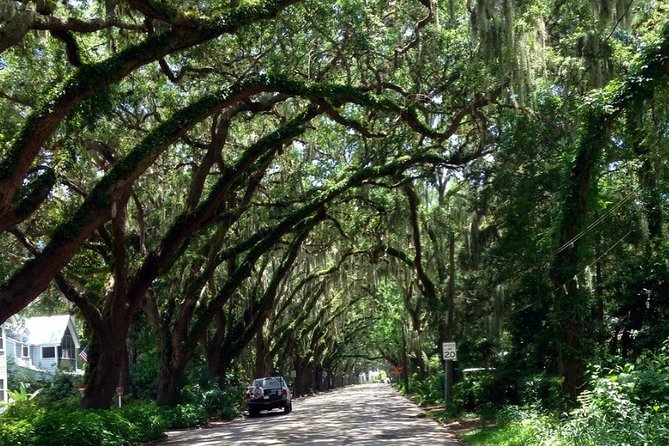 Private Guided Historic Electric Cart Tour of St. Augustine - Photos, weather, and the limits of an open-air ride