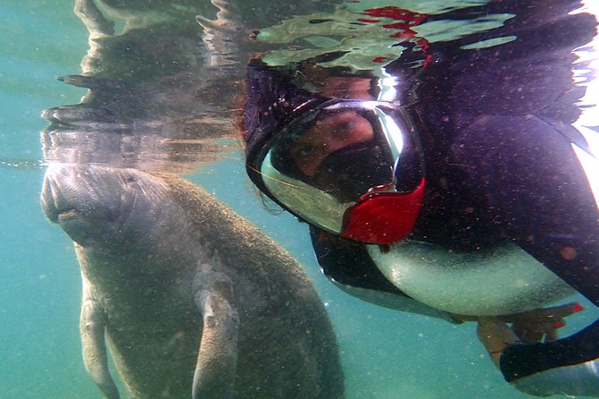 Private 'OG' Manatee Snorkel Tour with Guide for up to 10 people - Photos, equipment, and what the fee covers