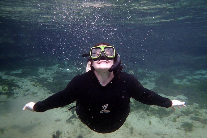 Private 'OG' Manatee Snorkel Tour with Guide for up to 10 people - Is three hours enough?