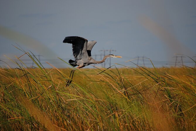 Private Tour: Florida Everglades Airboat Ride and Wildlife Adventure - Who will enjoy this tour most