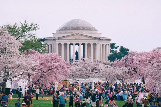 Private Washington DC City Tour - A smart way to see a spread-out capital