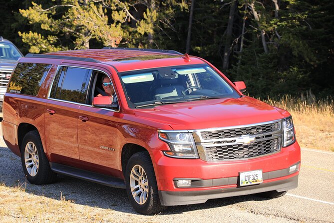 Private Yellowstone Tour: ICONIC Sites, Wildlife, Family Friendly Hikes + lunch - Yellowstone Falls and the Grand Canyon