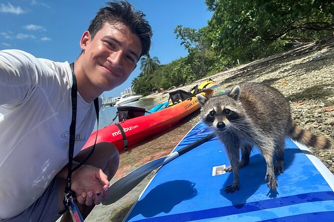 Raccoon Island: Exploration on SUP/Kayak - Paddling toward the Osprey Nature Preserve