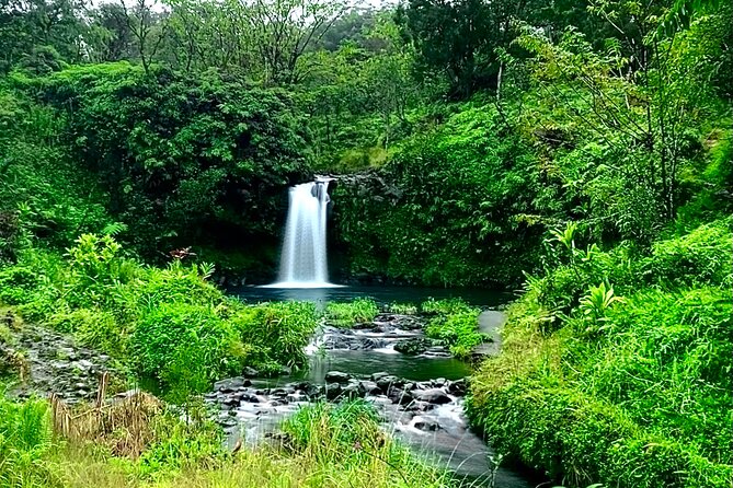 Rainforest Tour to Hana and Beyond - Why this Road to Hana tour makes sense