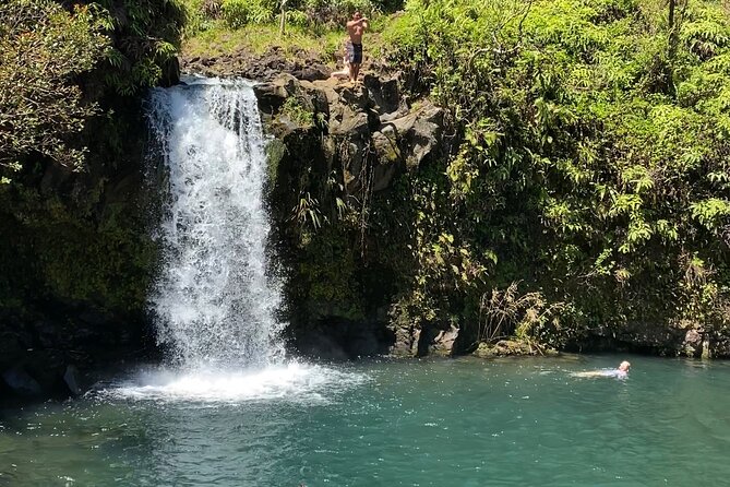 Rainforest Tour to Hana and Beyond - The Hana Highway begins with coffee and curves