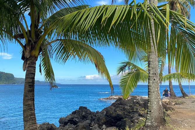 Rainforest Tour to Hana and Beyond - Hana town and Pua’a Ka’a waterfall