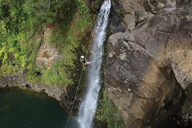 Rappel Maui Waterfalls and Rainforest Cliffs - Garden of Eden and the rainforest setting