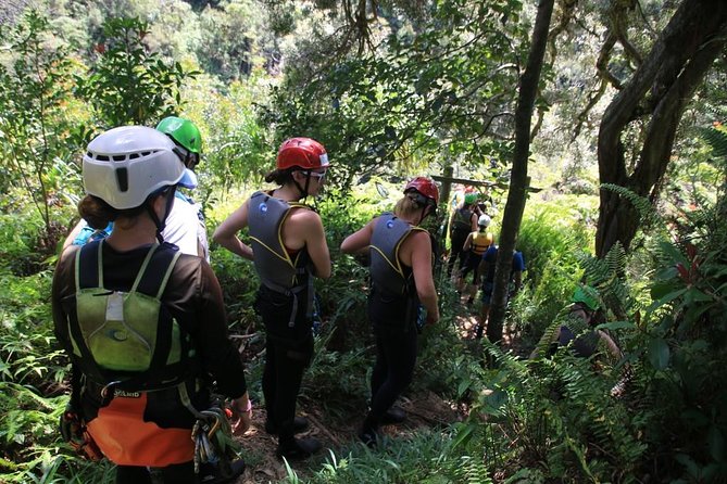 Rappel Maui Waterfalls and Rainforest Cliffs - Three rappels, waterfall pools, and cliff jumps