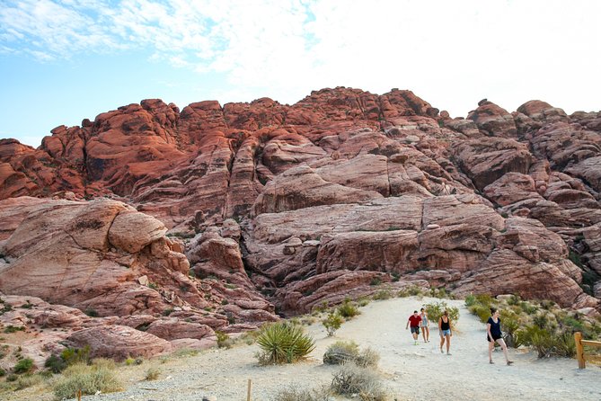 Red Rock Canyon Hike with Transport from Las Vegas - What to bring for the desert walk