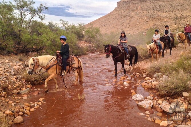 Red Rock Canyon Sunset Horseback Ride and Barbeque Dinner - A cowboy dinner beside the fire