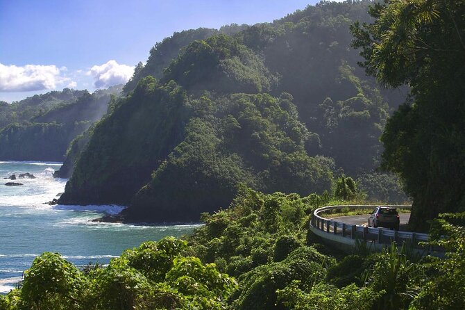 Road To Hana Black Sand Beach Waterfalls & Turtles Tour - Five things to know before you go