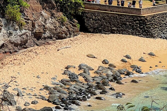 Road To Hana Black Sand Beach Waterfalls & Turtles Tour - Keanae’s banana bread stop is short and changeable