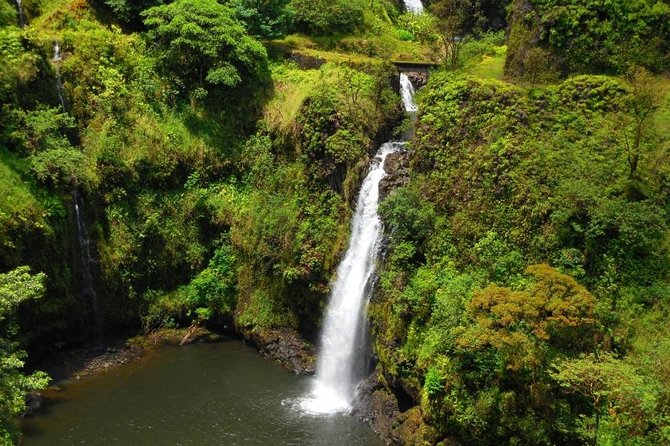 Road To Hana Black Sand Beach Waterfalls & Turtles Tour - Pua’a Ka’a State Park brings the first green pause