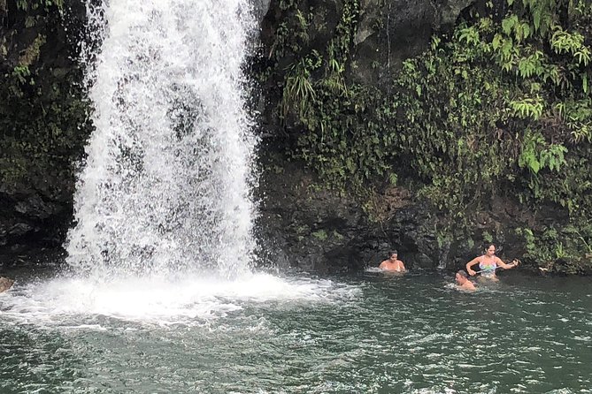 Road to Hana: Full-Day Scenic Drive with Blacksand & Waterfalls - Keʻanae Point and the everyday side of Maui