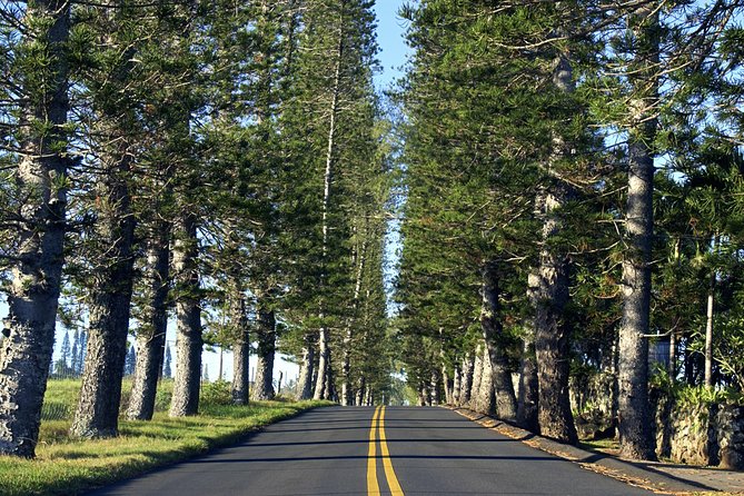 Road to Hana: Full-Day Scenic Drive with Blacksand & Waterfalls - Hoʻo kipa Beach Park and the first coastal views