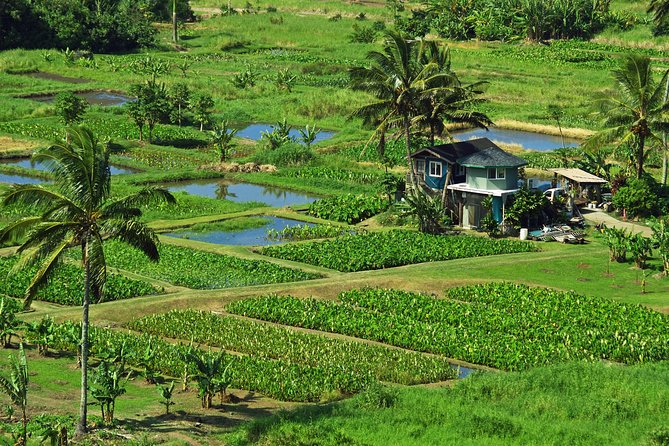 Road to Hana Tour with Lunch and Pickup - Local stops, banana bread, and the return route