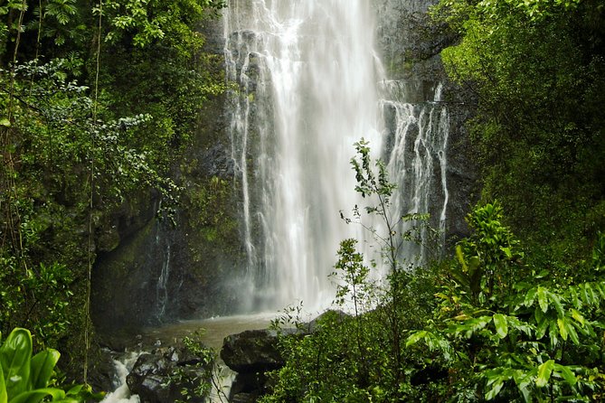 Road to Hana Tour with Lunch and Pickup - The guides are the heart of the experience