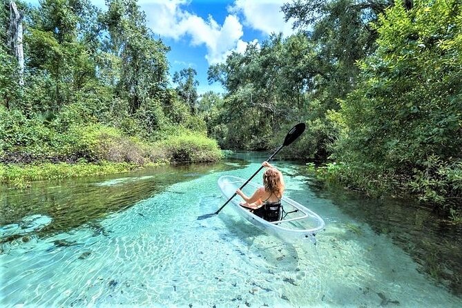 Rock Springs 2-Hour Glass Bottom Guided Kayak Eco Tour - Key points before you book