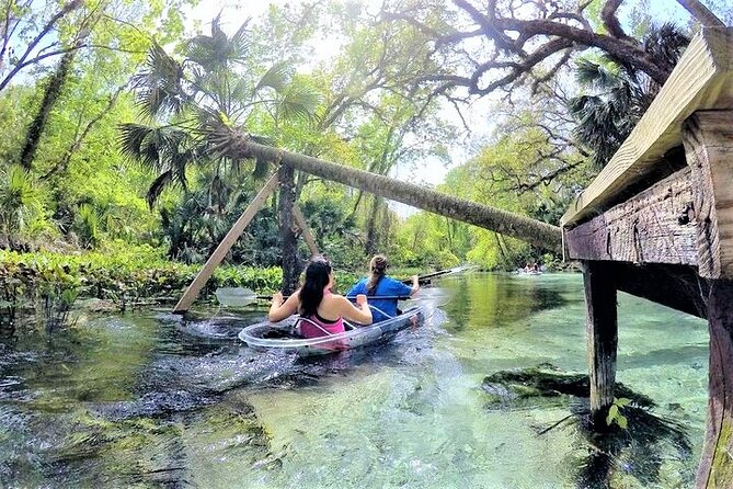 Rock Springs 2-Hour Glass Bottom Guided Kayak Eco Tour - Why Emerald Cut makes this Orlando outing special