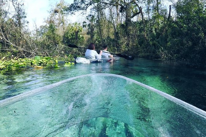 Rock Springs 2-Hour Glass Bottom Guided Kayak Eco Tour - The platform, swim, and rope swing stop