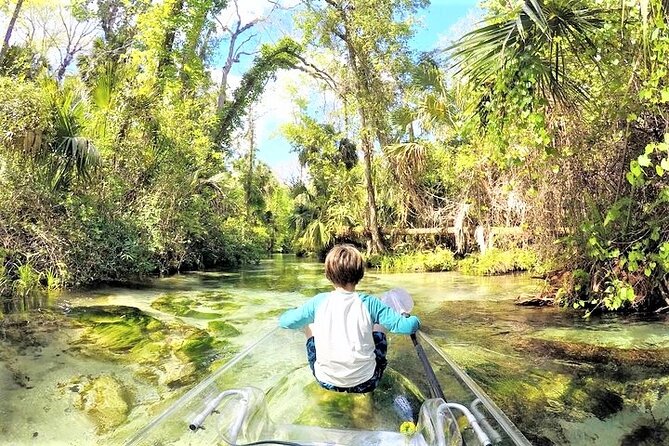 Rock Springs 2-Hour Glass Bottom Guided Kayak Eco Tour - Returning downstream and managing the group