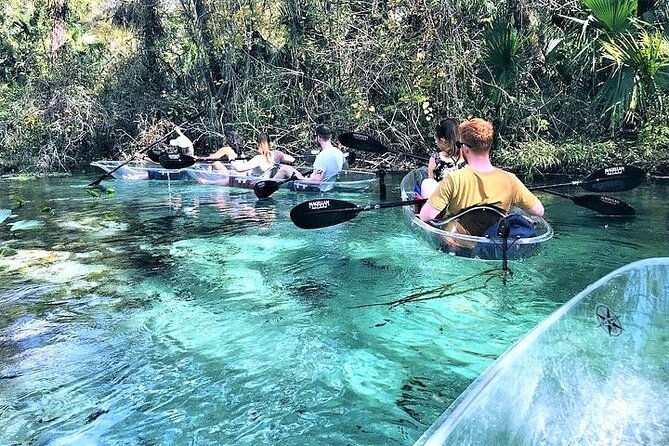 Rock Springs 2-Hour Glass Bottom Guided Kayak Eco Tour - Meeting at King’s Landing and getting on the water