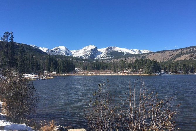 Rocky Mountain National Park and Estes Park Tour from Denver Winter and Spring - Horseshoe Park, Sheep Lakes, and wildlife watching