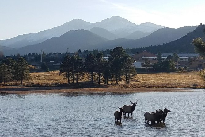 Rocky Mountain National Park and Estes Park Tour from Denver Winter and Spring - Entering the park at Beaver Meadows