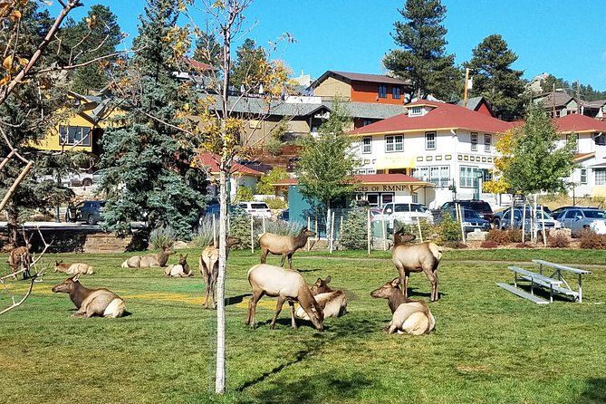 Rocky Mountain National Park in Summer Tour from Denver - Why this Denver day trip works well