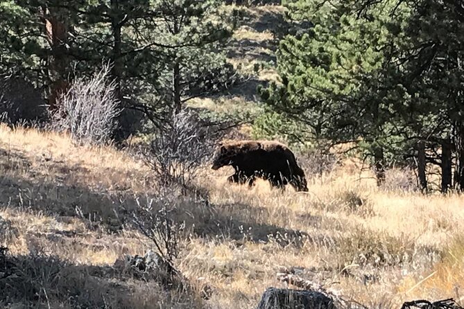 Rocky Mountain National Park in Summer Tour from Denver - Rock Cut and Alpine Visitor Center