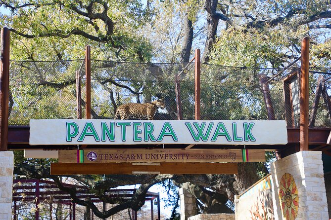 San Antonio Zoo General Admission Ticket - Big Cat Valley and the gorillas