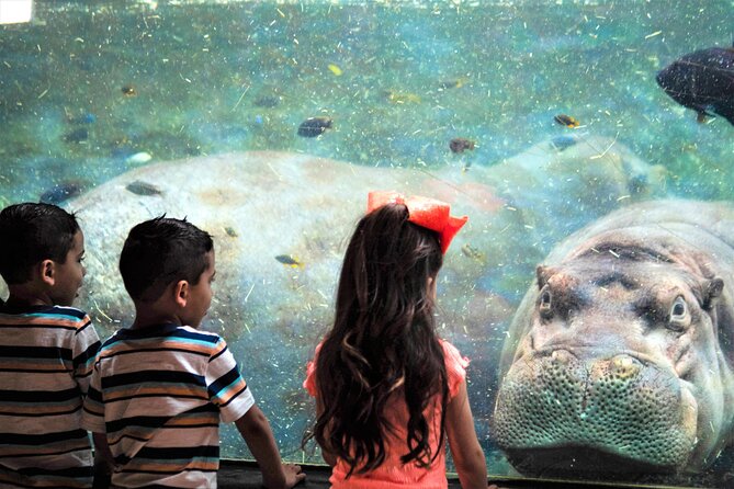San Antonio Zoo General Admission Ticket - Daily talks and hands-on options