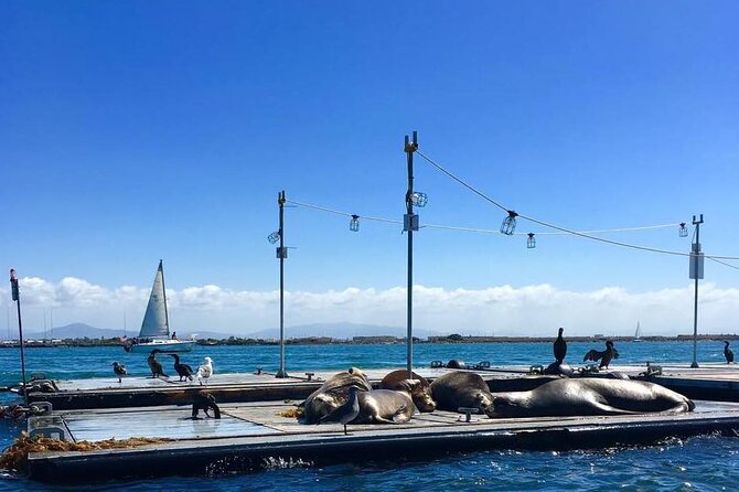 San Diego Harbor Speed Boat Adventure - Guides make a big difference